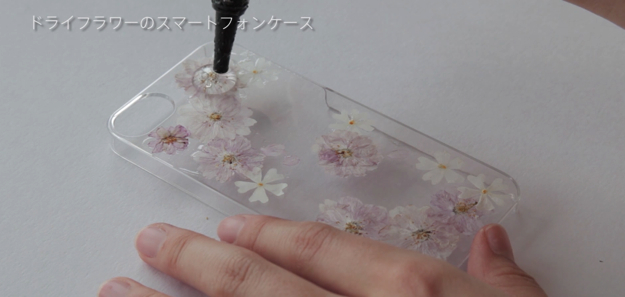 スクリーンショット 2016-11-03 13.50.21